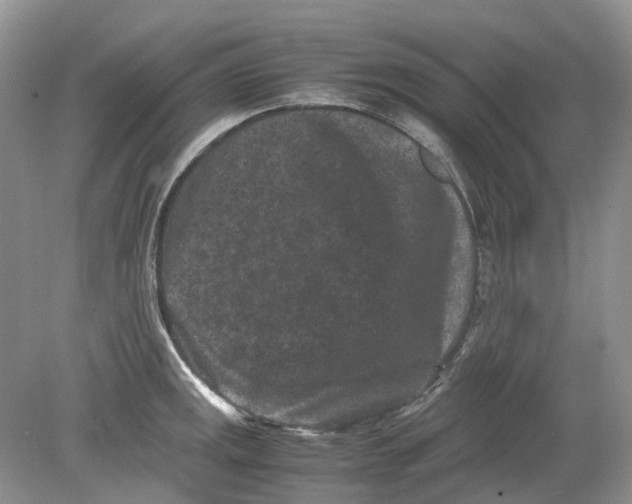 X0000078861141200612041925