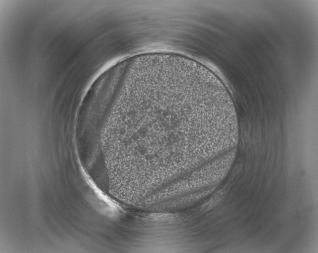 X0000078861142200612041925