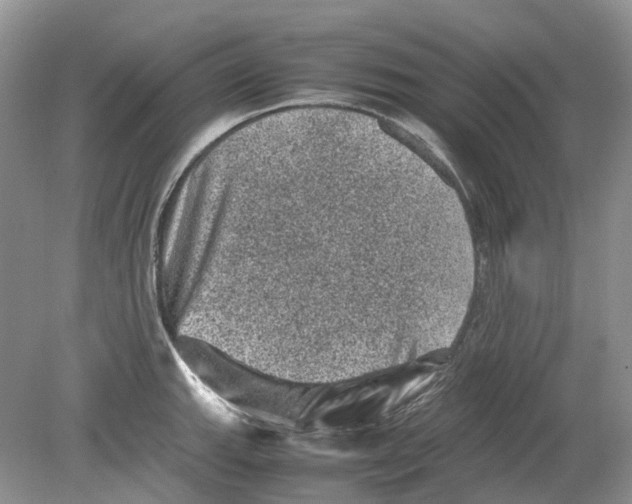 X0000078861143200612041925