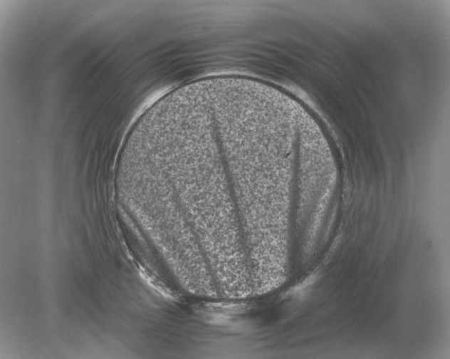 X0000078861145200612041925