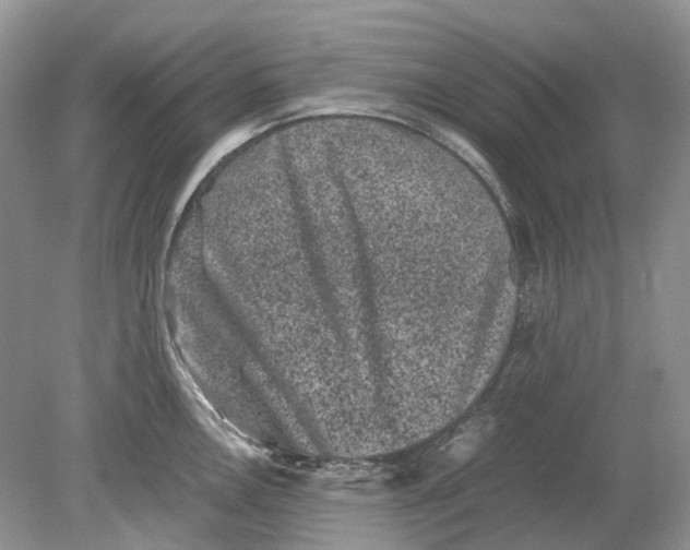 X0000078861146200612041925