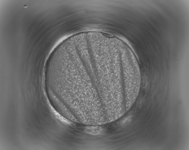 X0000078861147200612041925