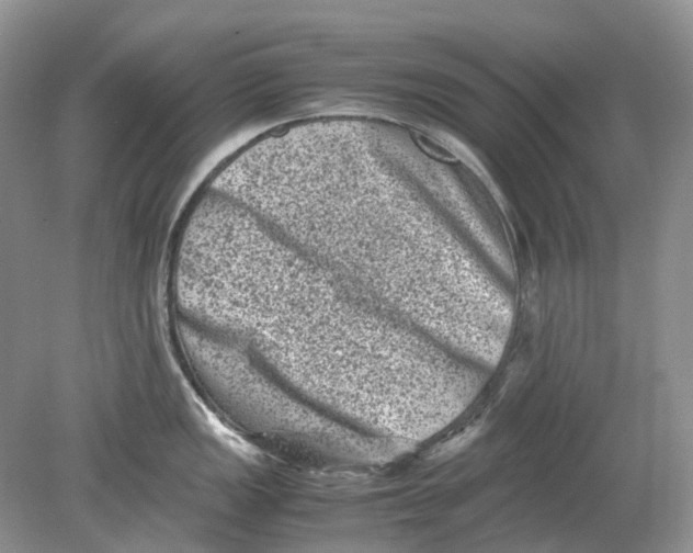 X0000078861149200612041925