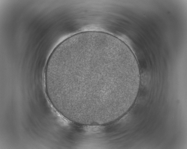 X0000078861150200612041925