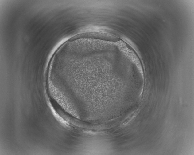 X0000078861152200612041925