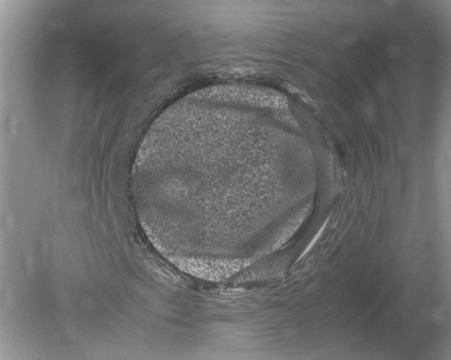 X0000078861153200612041925