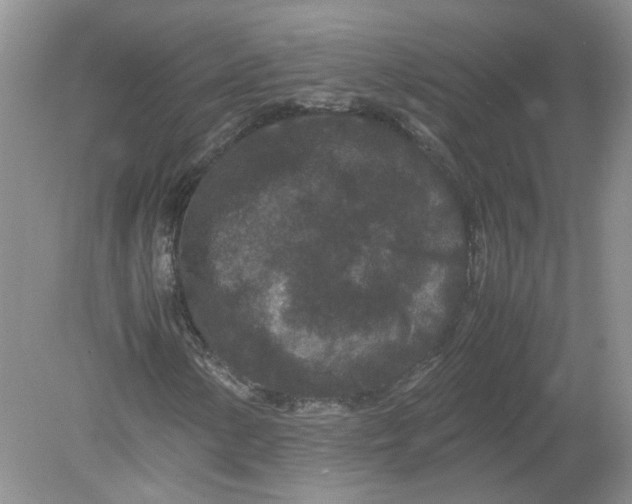 X0000078861154200612041925