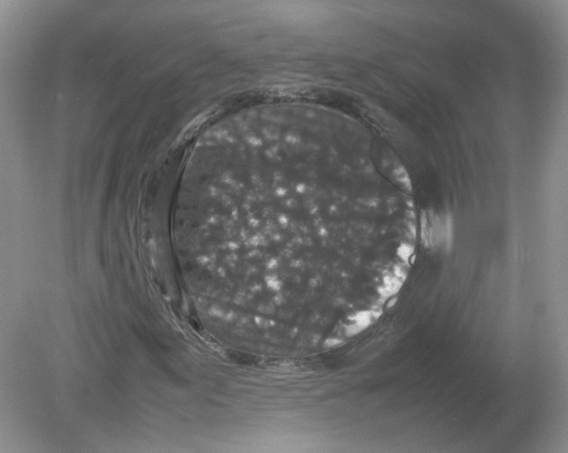 X0000078861155200612041925