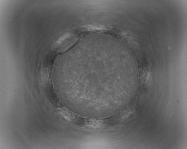 X0000078861157200612041925