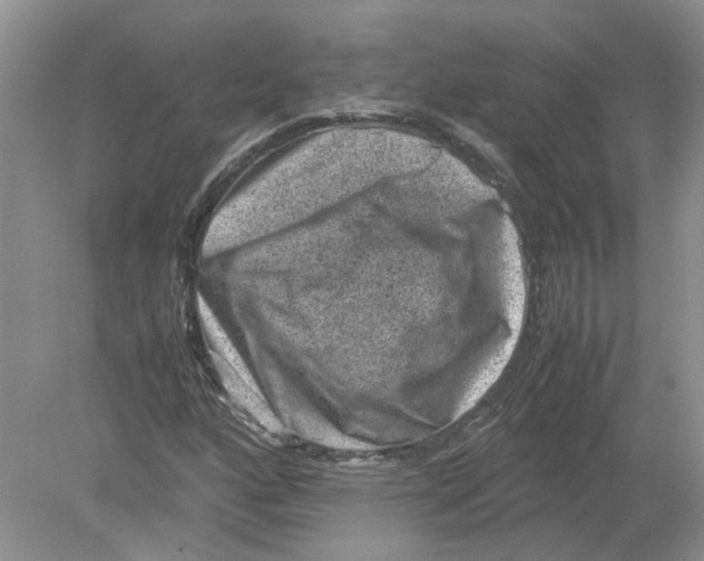 X0000078861160200612041924