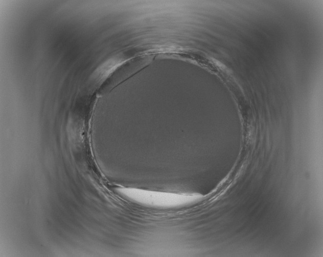 X0000078861161200612041924