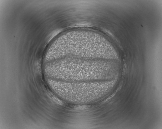 X0000078861162200612041924