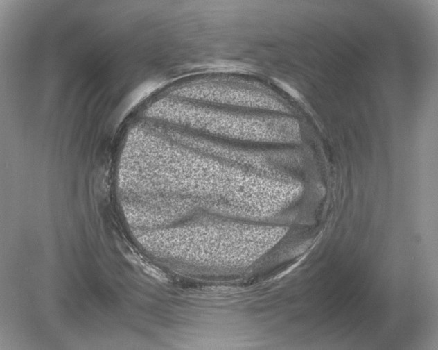 X0000078861163200612041924