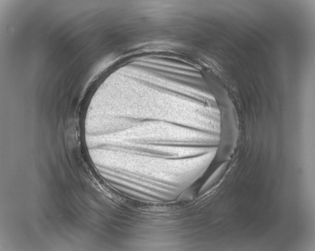 X0000078861164200612041924