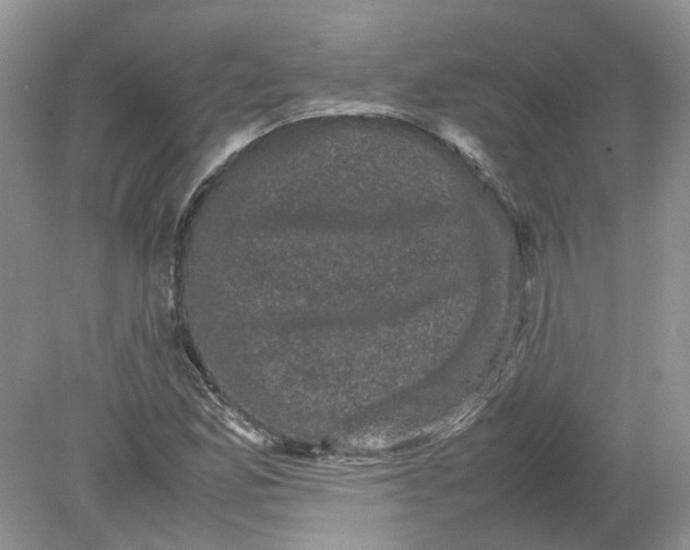 X0000078861165200612041924