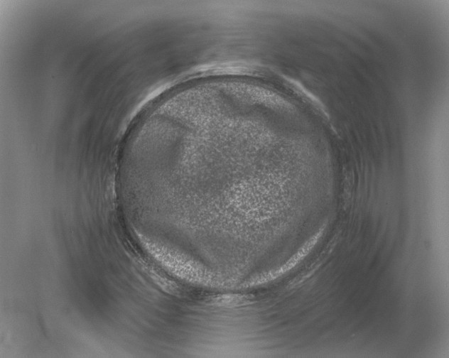 X0000078861166200612041924