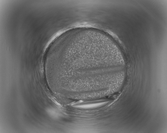 X0000078861167200612041924