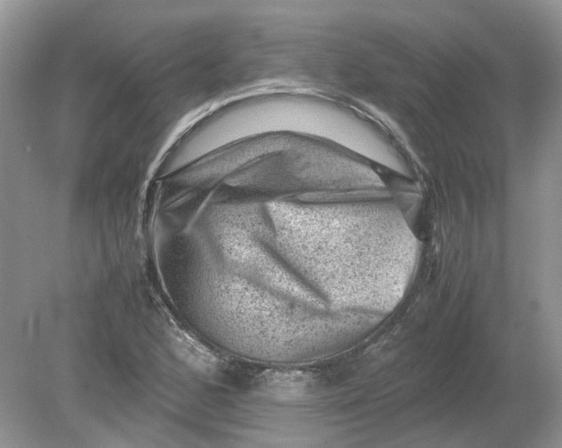 X0000078861168200612041924