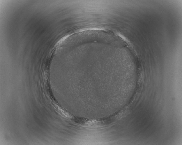 X0000078861169200612041924