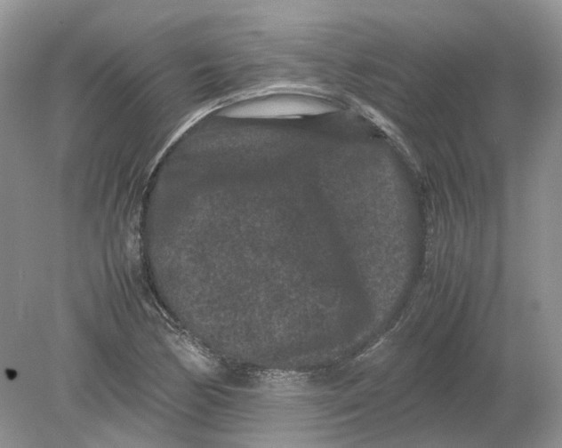 X0000078861170200612041924