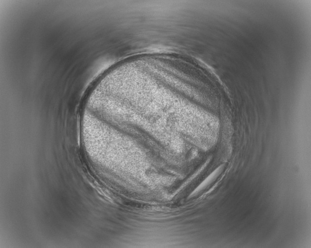 X0000078861171200612041924