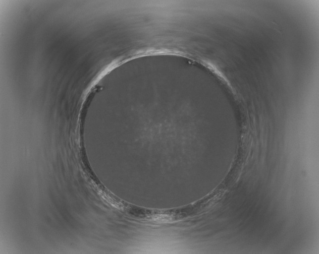 X0000078861173200612041924