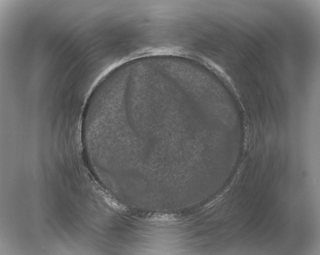 X0000078861174200612041924