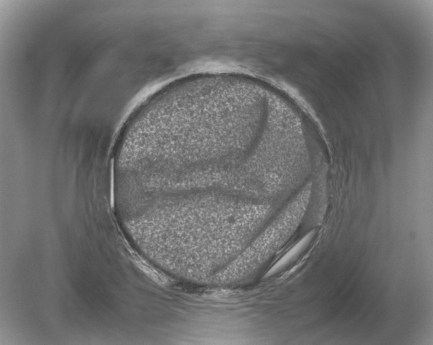 X0000078861175200612041924