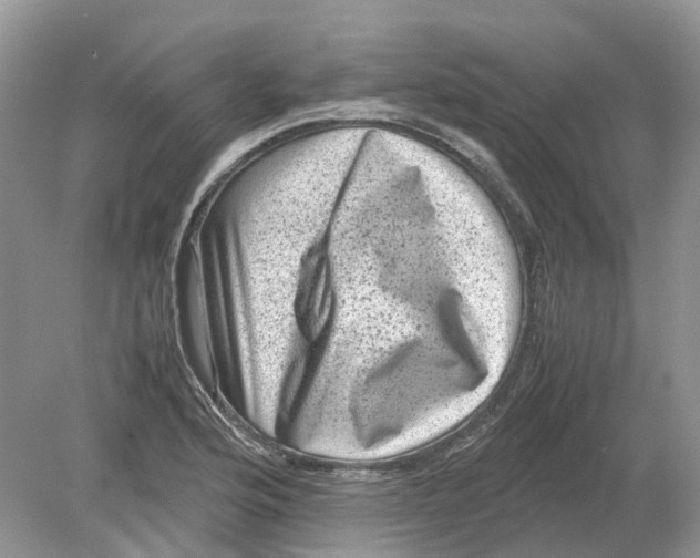 X0000078861176200612041924