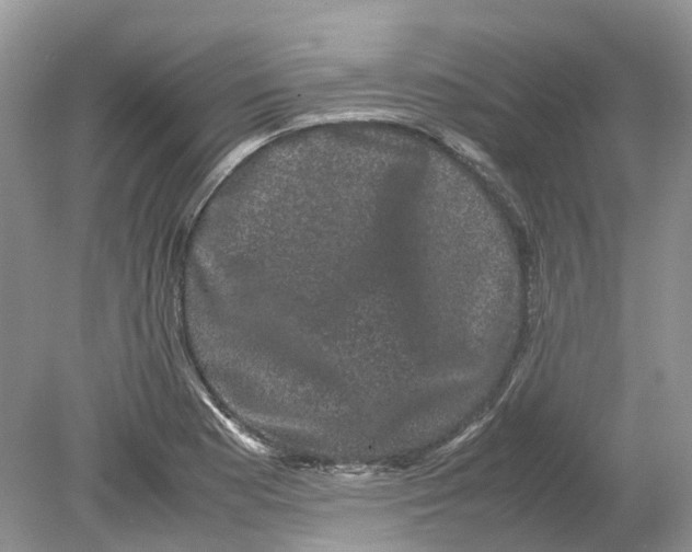 X0000078861177200612041924