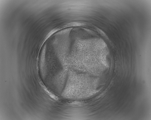 X0000078861178200612041924