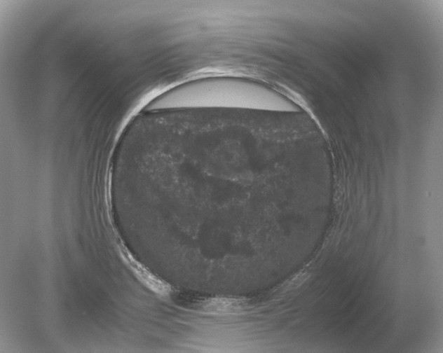 X0000078861179200612041924