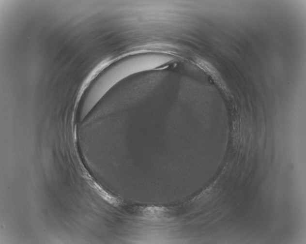 X0000078861180200612041924