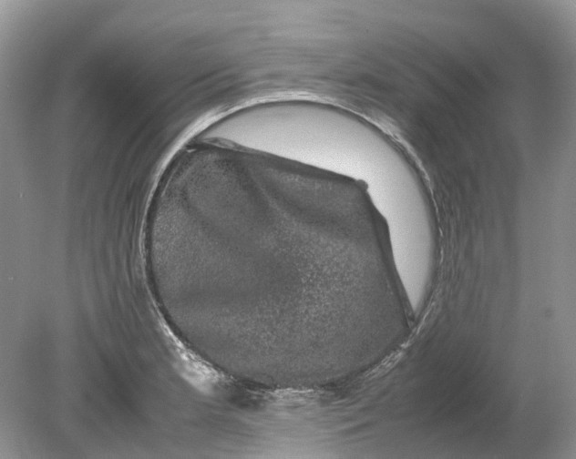 X0000078861181200612041924