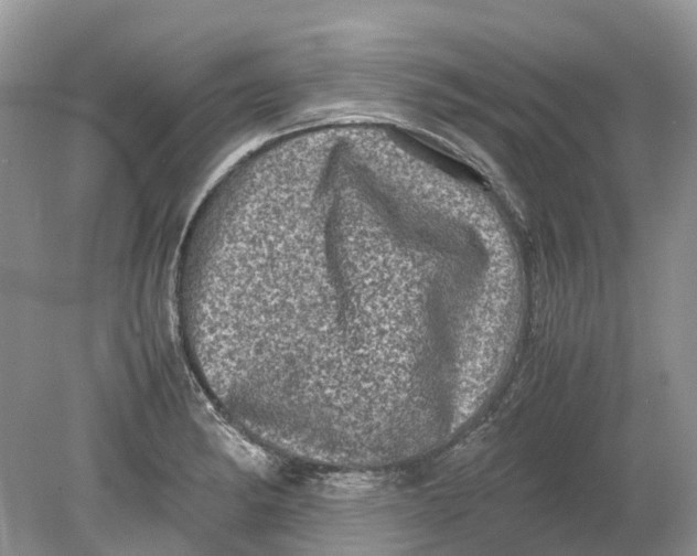 X0000078861182200612041924