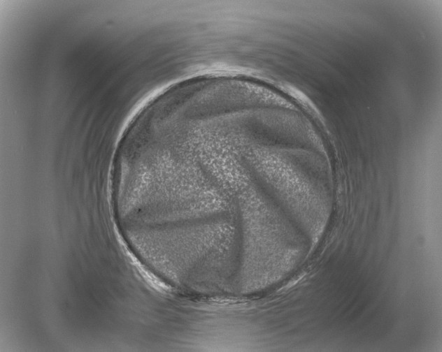 X0000078861183200612041924