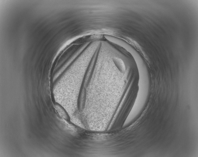 X0000078861184200612041924