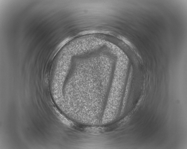 X0000078861185200612041924