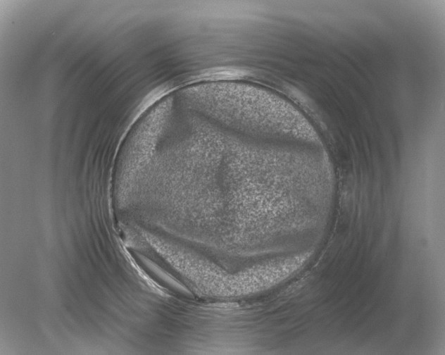 X0000078861186200612041924