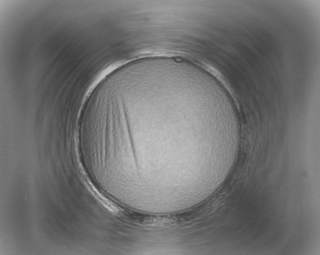 X0000078861187200612041924