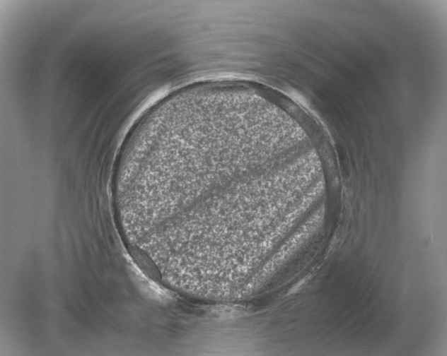 X0000078861189200612041924