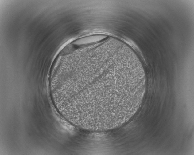 X0000078861190200612041924