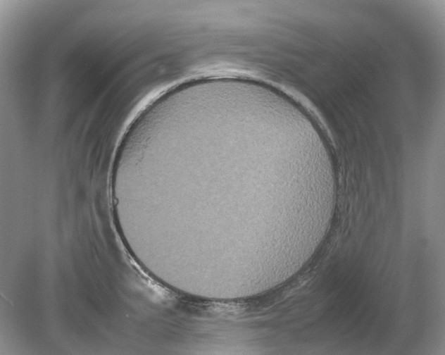 X0000078861191200612041924