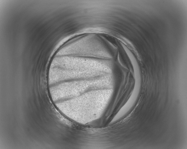 X0000078861192200612041924