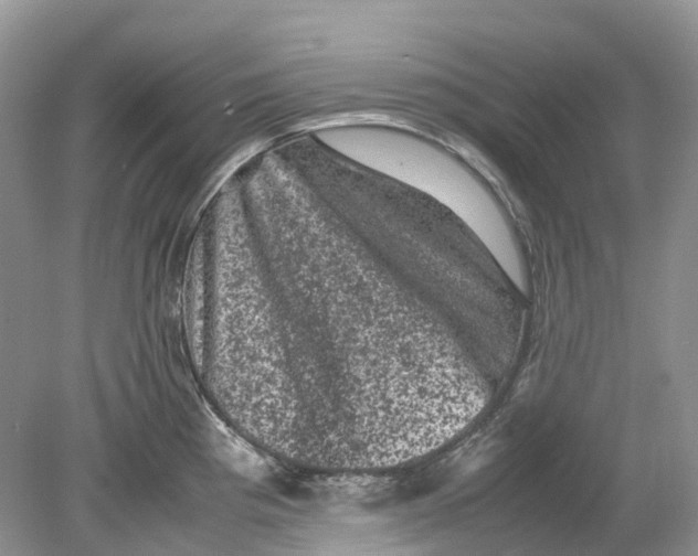 X0000078861193200612041924