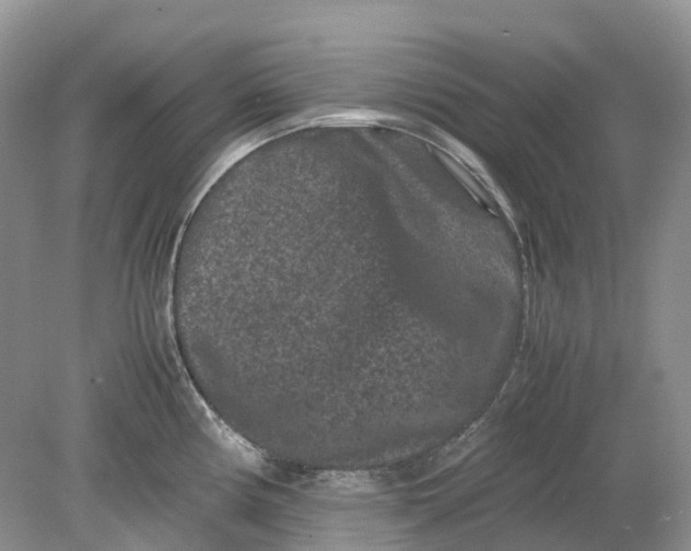 X0000078861194200612041924