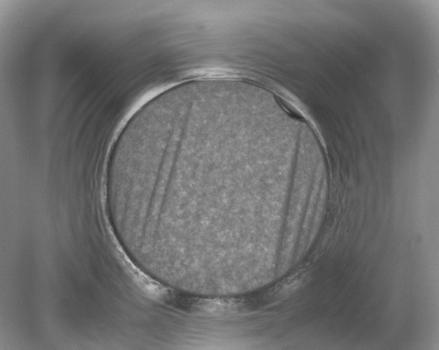 X0000078861195200612041924