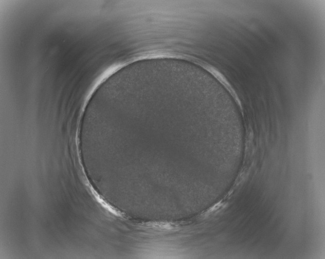 X0000078861197200612041924