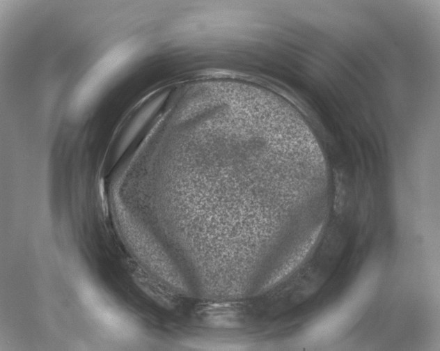 X0000078861198200612041924