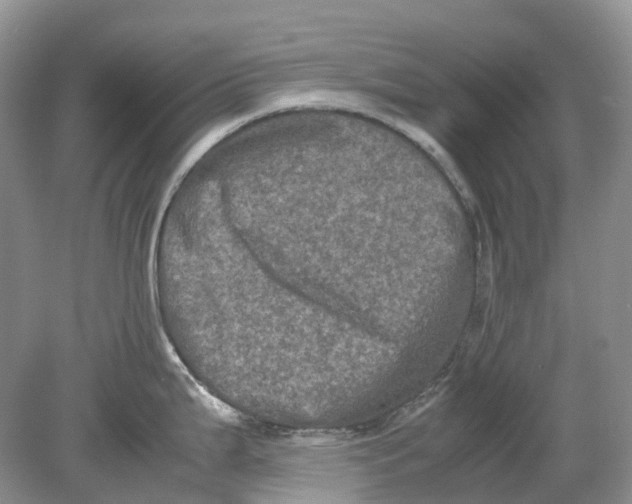 X0000078861199200612041924